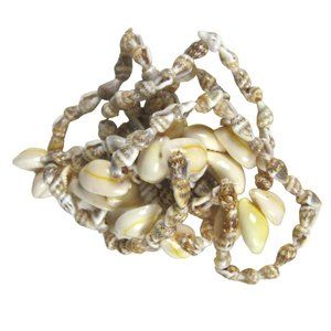 Seashell Necklace  34 In Strand Beaded Shell Beach Sea Ocean Shells NO CLASP